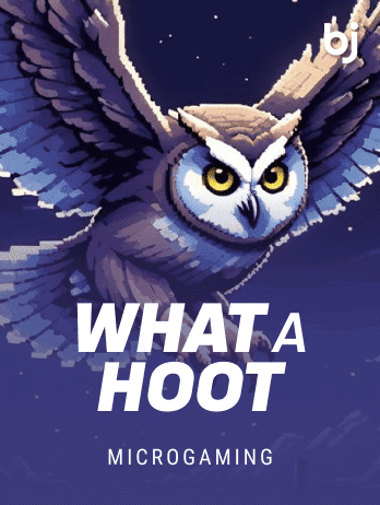 What A Hoot game icon