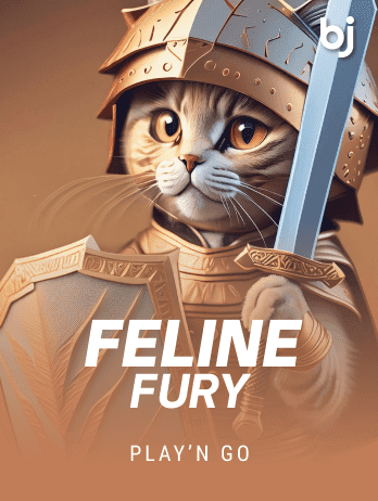 Feline Fury game icon